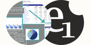e1-reporting e1-reporting